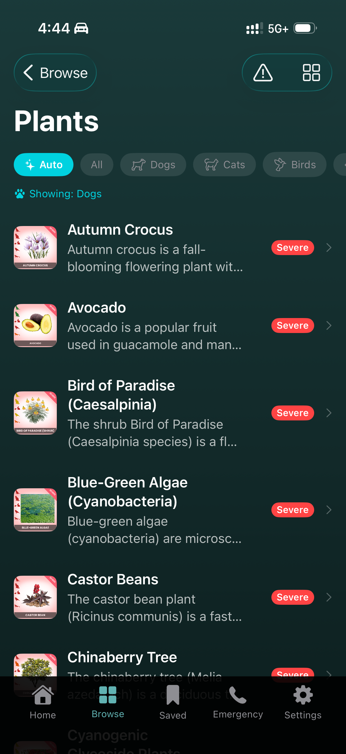 Plants category in list view filtered to show dog-specific severity