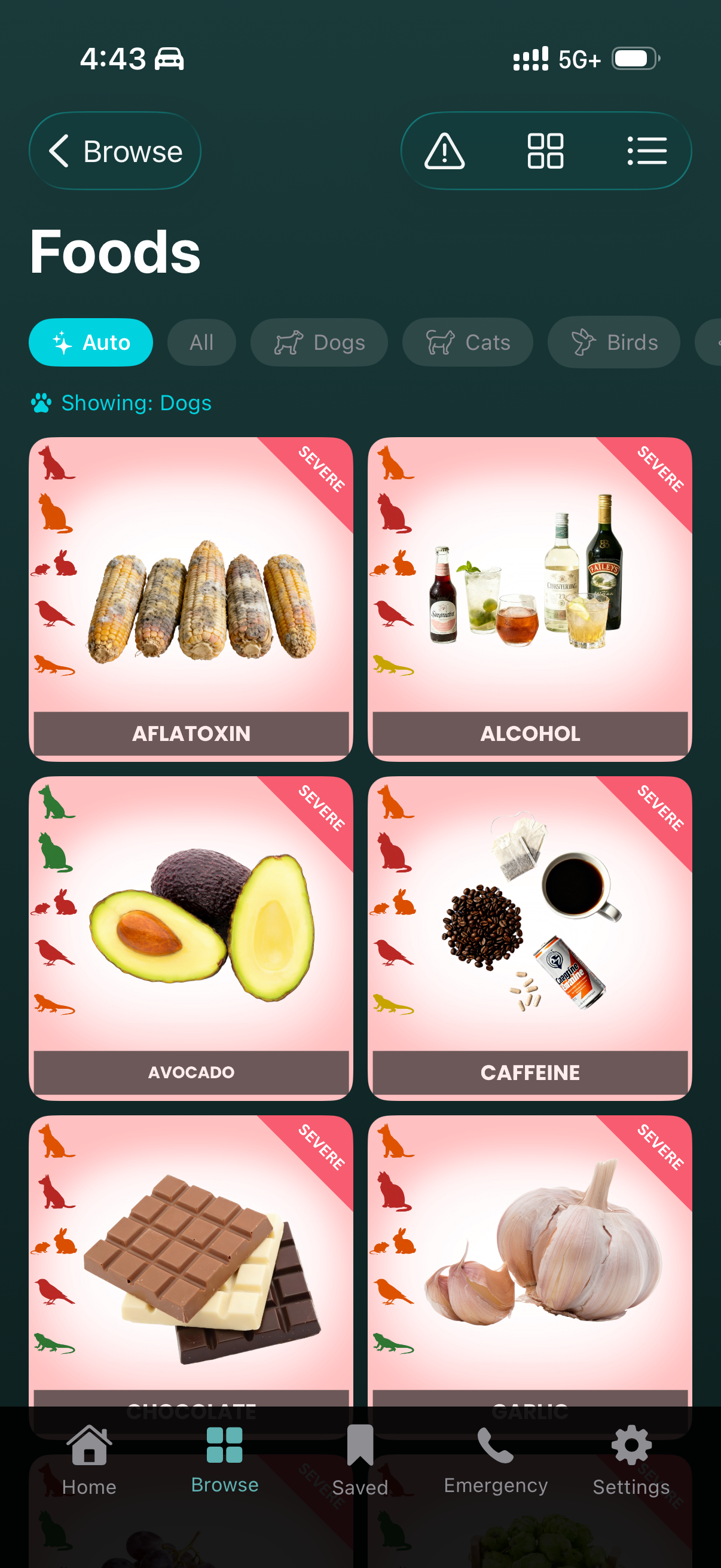 Foods category in thumbnail grid view showing colorful entry images