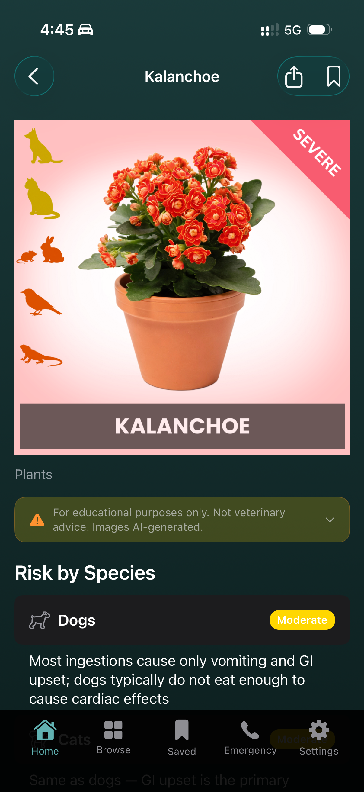 Kalanchoe entry showing plant image, severity badge, and species risk levels