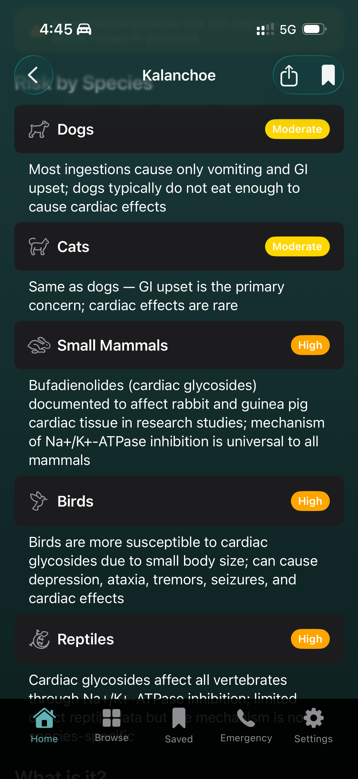 Species-specific risk breakdown for dogs, cats, small mammals, birds, and reptiles