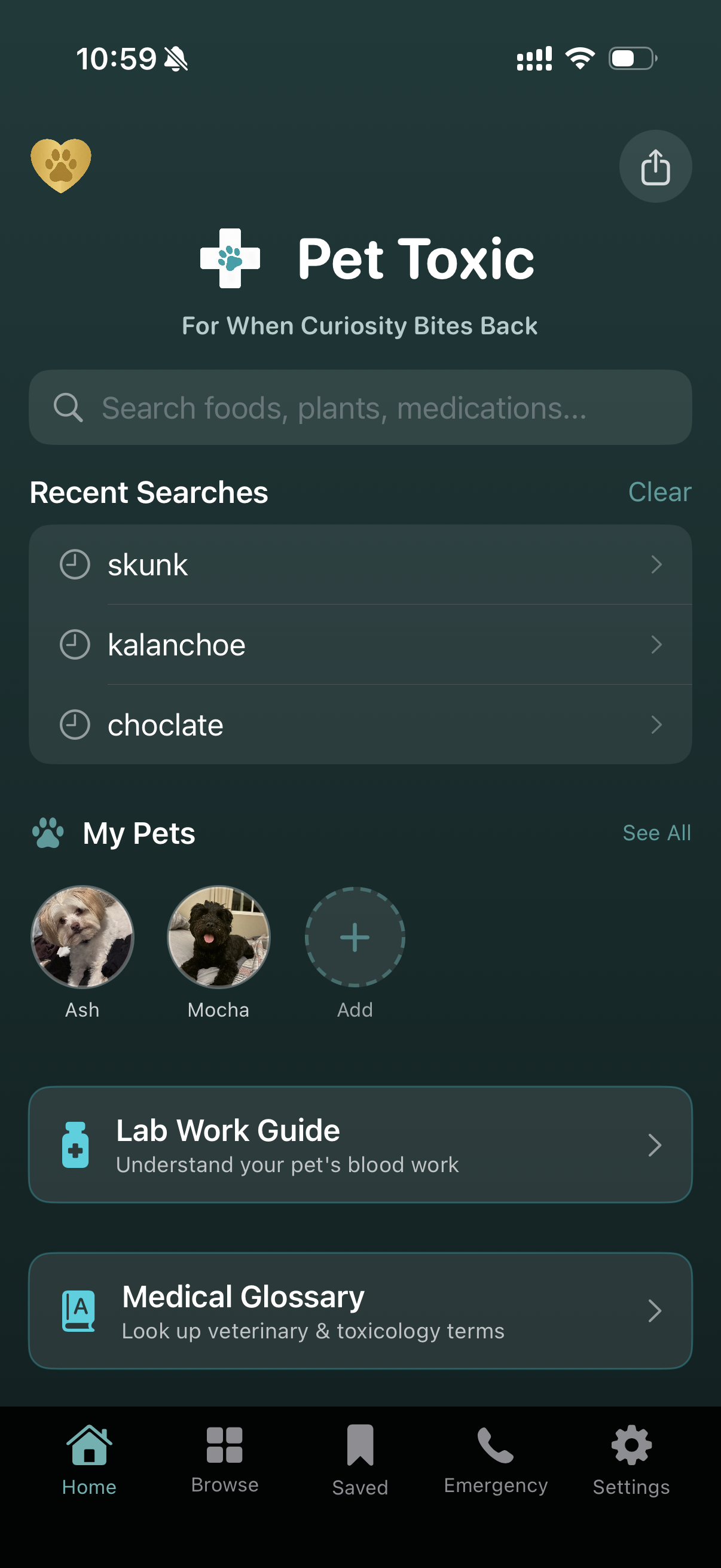 Pet Toxic app home screen showing search, recent searches, My Pets section with pet profiles, and quick access to Lab Work Guide and Medical Glossary
